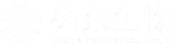 荷兰vs日本-世界杯生物